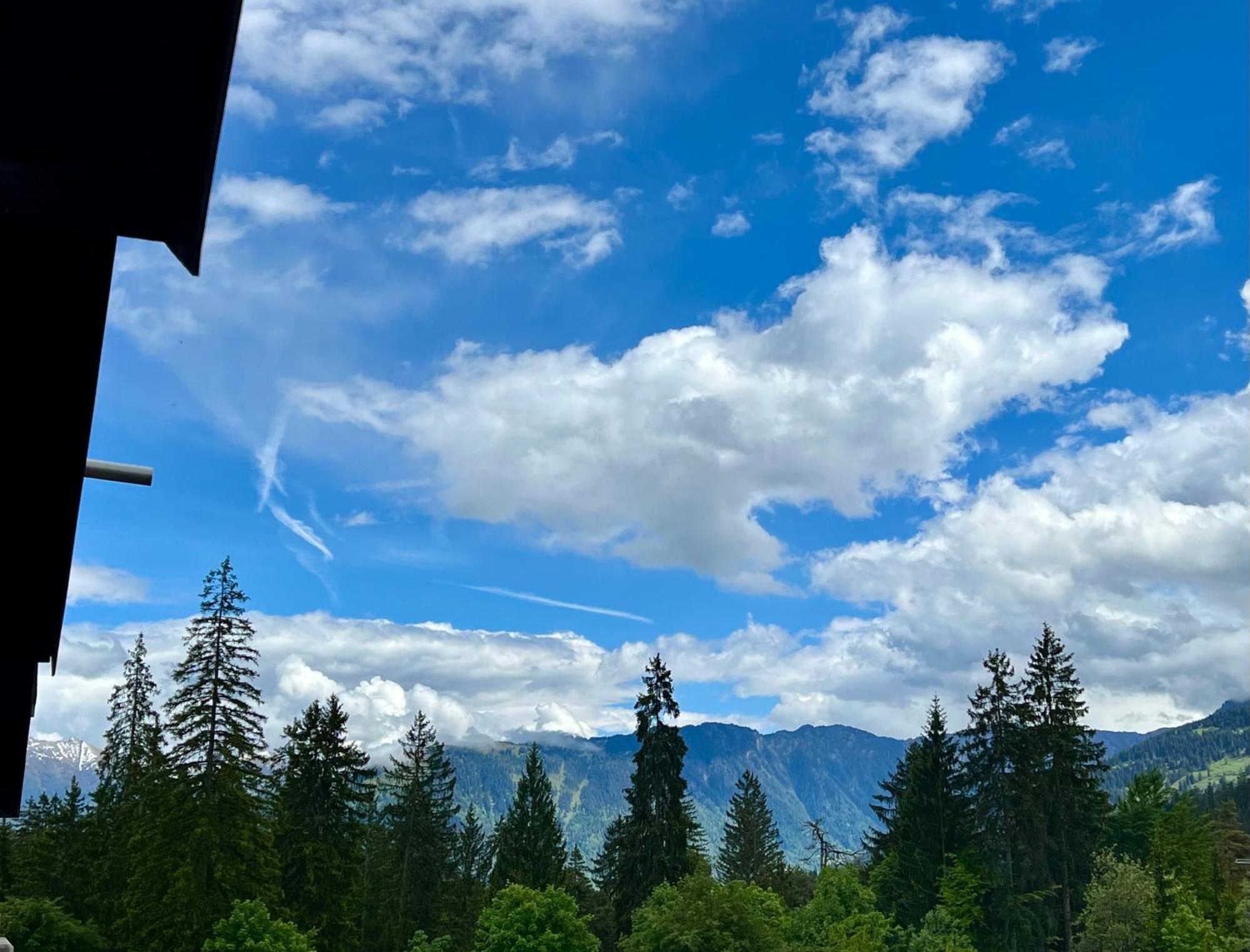 Im Des Alpes * Flims